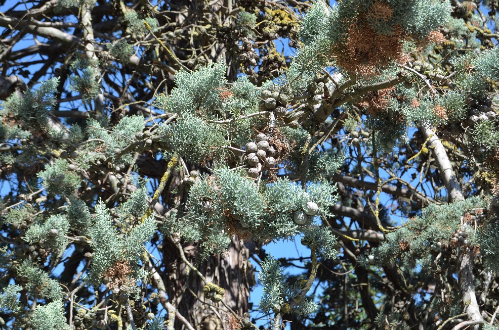 No s'ha trobat l'arxiu